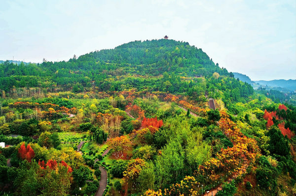 小东山森林公园