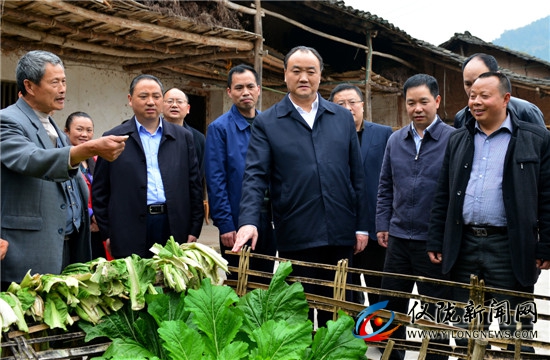 市委书记李仲彬调研扶贫开发工作